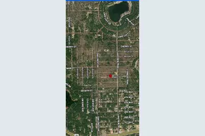 Lot 46 & 46 Maple Drive, Interlachen, FL 32148 - Photo 4