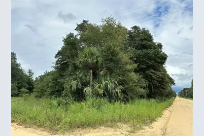 00 Kin Street, Interlachen, FL 32148 - Photo 2