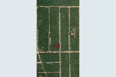 Lot 20 Gloria Avenue, Interlachen, FL 32148 - Photo 1