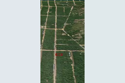 Lot 20 Gloria Avenue, Interlachen, FL 32148 - Photo 4