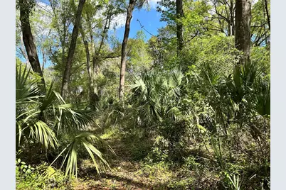 Tbd SW 5th Lane, Ocala, FL 34481 - Photo 10