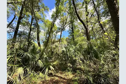 Tbd SW 5th Lane, Ocala, FL 34481 - Photo 2