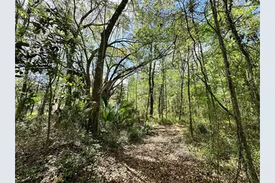 Tbd SW 5th Lane, Ocala, FL 34481 - Photo 1