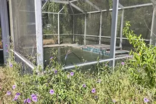 24839 NE 130th St, Fort Mc Coy, FL 32134 - Photo 16