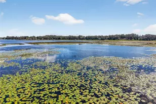 10072 SE 139th Pl, Summerfield, FL 34491 - Photo 16