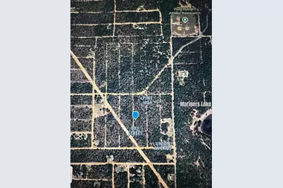 Xx Bay Street, Interlachen, FL 32148 - Photo 4