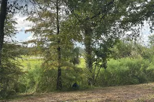 6661 E Turner Camp Rd, Inverness, FL 34453 - Photo 2