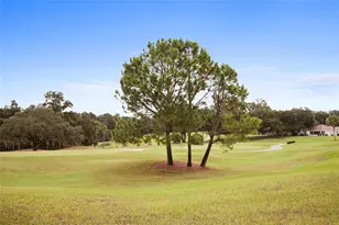 8806 SE 132nd Loop, Summerfield, FL 34491 - Photo 80