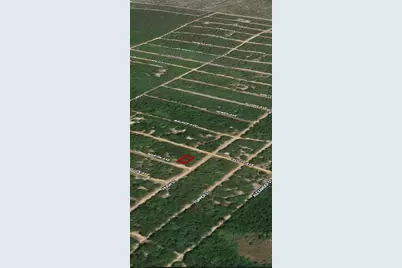 Lot 13 Martin Avenue, Interlachen, FL 32148 - Photo 4