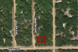 Lot 13 Martin Ave, Interlachen, FL 32148 - Photo 1