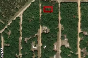 Lot 31 Kennedy Ave, Interlachen, FL 32148 - Photo 1