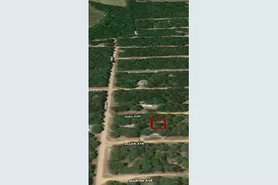Lot 11 Joel Avenue, Interlachen, FL 32148 - Photo 4