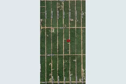 Lot 28 Del Monaco Avenue, Interlachen, FL 32148 - Photo 1