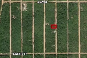 Lot 28 Del Monaco Ave, Interlachen, FL 32148 - Photo 1