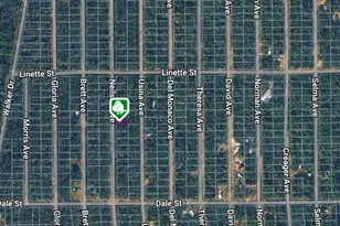 Lot 7 Neilsen Ave, Interlachen, FL 32148 - Photo 1