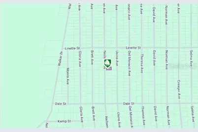 Lot 7 Neilsen Avenue, Interlachen, FL 32148 - Photo 2