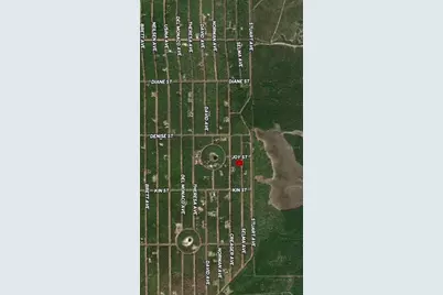 Lot 19 Selma Avenue, Interlachen, FL 32148 - Photo 4