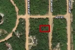 Lot 19 Selma Ave, Interlachen, FL 32148 - Photo 1