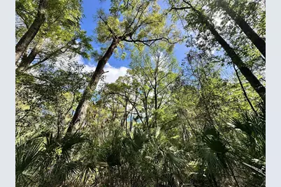 Tbd SW 5th Lane, Ocala, FL 34481 - Photo 10
