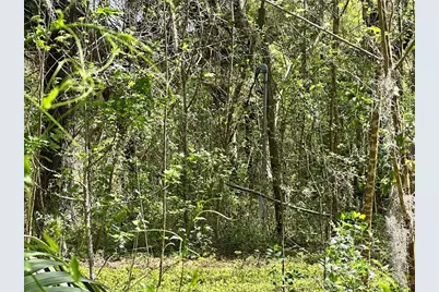 Tbd SW 5th Lane, Ocala, FL 34481 - Photo 6
