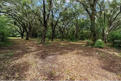 Tbd SE 122nd Place, Ocklawaha, FL 32179 - Photo 12