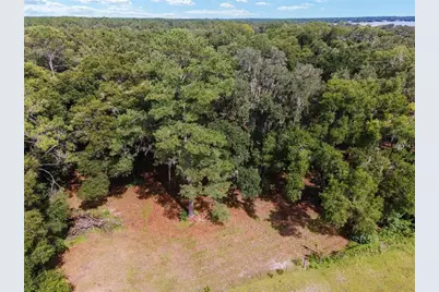 Tbd SE 122nd Place, Ocklawaha, FL 32179 - Photo 6