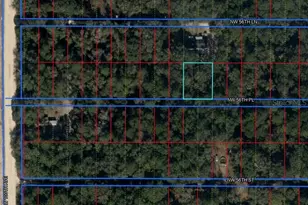 Lot 13 & 14 NW 56 Pl, Chiefland, FL 32626 - Photo 1