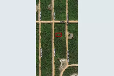 Lot 4 Usina Avenue, Interlachen, FL 32148 - Photo 1