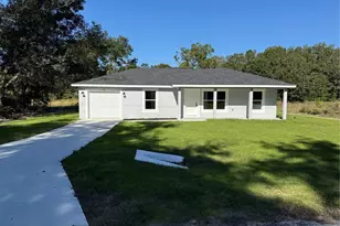 26 Guava Ter Trak, Ocklawaha, FL 32179 - Photo 1