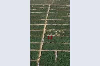 Lot 35 Neilsen Avenue, Interlachen, FL 32148 - Photo 2