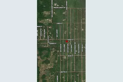 Lot 35 Neilsen Avenue, Interlachen, FL 32148 - Photo 4