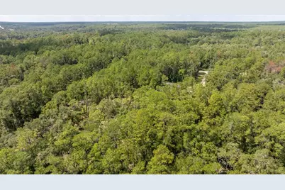 1412 E Carson Road, Citrus Springs, FL 34434 - Photo 6