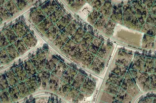 0000 SW 147th Rd, Ocala, FL 34473 - Photo 1