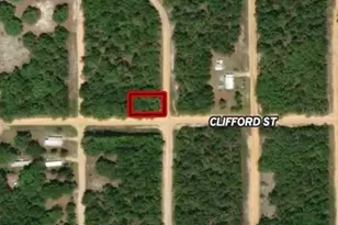 Lot 17 Evans Ave, Interlachen, FL 32148 - Photo 1