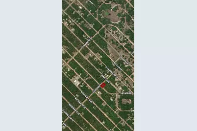 Lot 17 Evans Avenue, Interlachen, FL 32148 - Photo 4