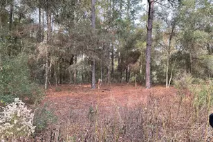 Lot 9 SW 152nd Ave, Ocala, FL 34481 - Photo 1