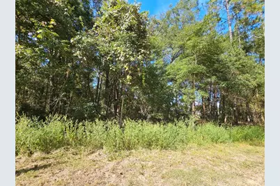 Tbd SW 21st Place, Ocala, FL 34481 - Photo 4