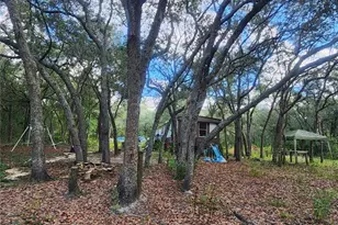 217 Lakeview Dr, Melrose, FL 32666 - Photo 8