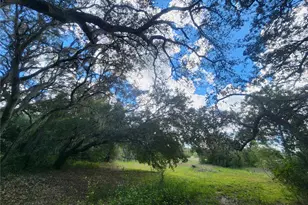 217 Lakeview Dr, Melrose, FL 32666 - Photo 6