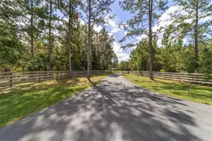 15600 NW 185th St, Williston, FL 32696 - Photo 12