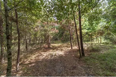 15600 NW 185th Street, Williston, FL 32696 - Photo 92