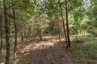 15600 NW 185th St, Williston, FL 32696 - Photo 92