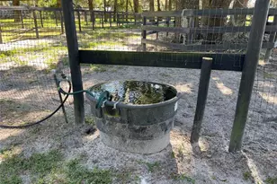 2551 NE 107 Pl, Chiefland, FL 32626 - Photo 70