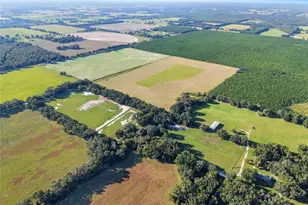 2551 NE 107 Pl, Chiefland, FL 32626 - Photo 44