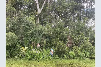 91 Palmwood Drive, Palm Coast, FL 32164 - Photo 1