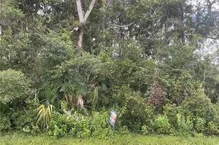 91 Palmwood Dr, Palm Coast, FL 32164 - Photo 1