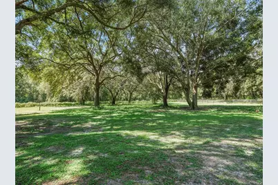 17244 SE 130th Avenue, Weirsdale, FL 32195 - Photo 4