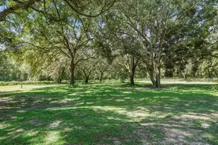 17244 SE 130th Ave, Weirsdale, FL 32195 - Photo 4