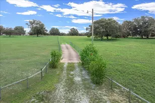17355 SE 260th Avenue Rd, Umatilla, FL 32784 - Photo 2