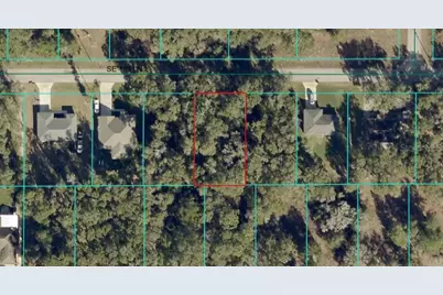 Se 139 Lane, Summerfield, FL 34491 - Photo 1